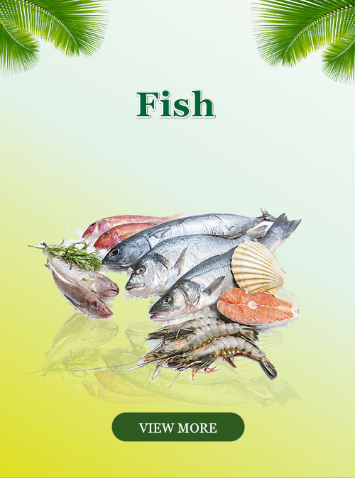 categories-fish